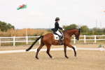 SBM_000377