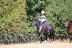WJ6_7918
