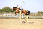 SBM_006771