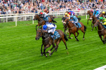 250725-Race 4-Dicko The Legend-0623