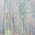 April, 2017 #5 - Norfolk County