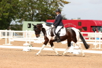 SBM_02018