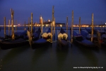 XT6I4922Venice 2011