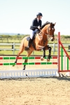 SBM_000192