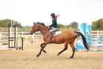 SBM_023349