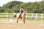SBM_001119