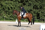 175-MONBEG_EQUITY-Tom_McEwen-WEDTrotUp+DR portfolio