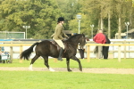 SBM_68217