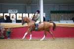 SBM_06094