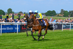 270526-Race 4-Mao Shang Wong-2941