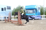 SBM_12182