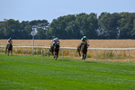 160726-Race 1-Clementines Star-3847