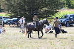 WJ6_7950