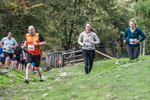 Dovedale Dash-2049