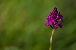 Tuesday 26th May 2009