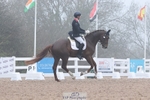 Cls 8 BD Young Horse 4YO portfolio
