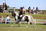 3E7A6988