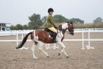 SBM_21575