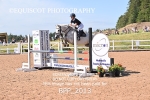 BPP_2013