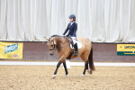 SBM_009114