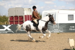 SBM_03347
