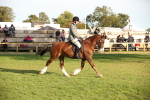 SBM_54336
