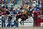 3HRodeo7-26-25_CFD_oooo2987_
