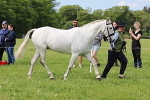 SIAL2853