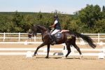 SBM_002816