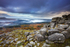 Burrator