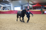 SBM_16643