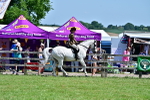 SBM_15366