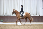 SBM_01660