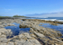 Dunstanburgh Castle & Rock Pools, Northumberland