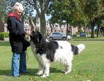 Max And his Chestnut 5