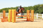 SBM_007031
