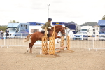 SBM_06789