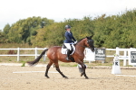 SBM_012025