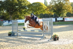 J32 - Senior 70cm Championship portfolio