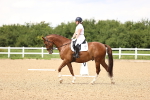 SBM_001492