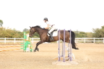 SBM_002313