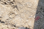 250420A-101300-00271