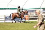 SBM_18873