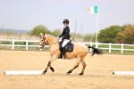 SBM_007317