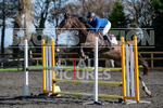 Senior Showjumping_10-11-2019-31