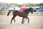 SBM_07114