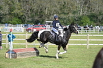 WJ7_8517