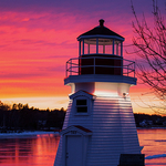 Frozen Light