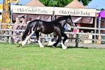 SBM_10097