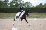 Class 10 - Advanced Medium 4 portfolio